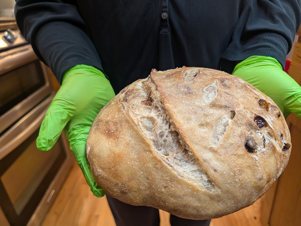 Cinnamon Raisin Sourdough Swirl Circuit
